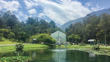 Kebun Raya Cibodas