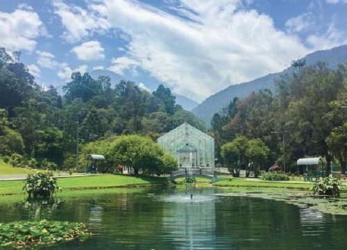 Kebun Raya Cibodas